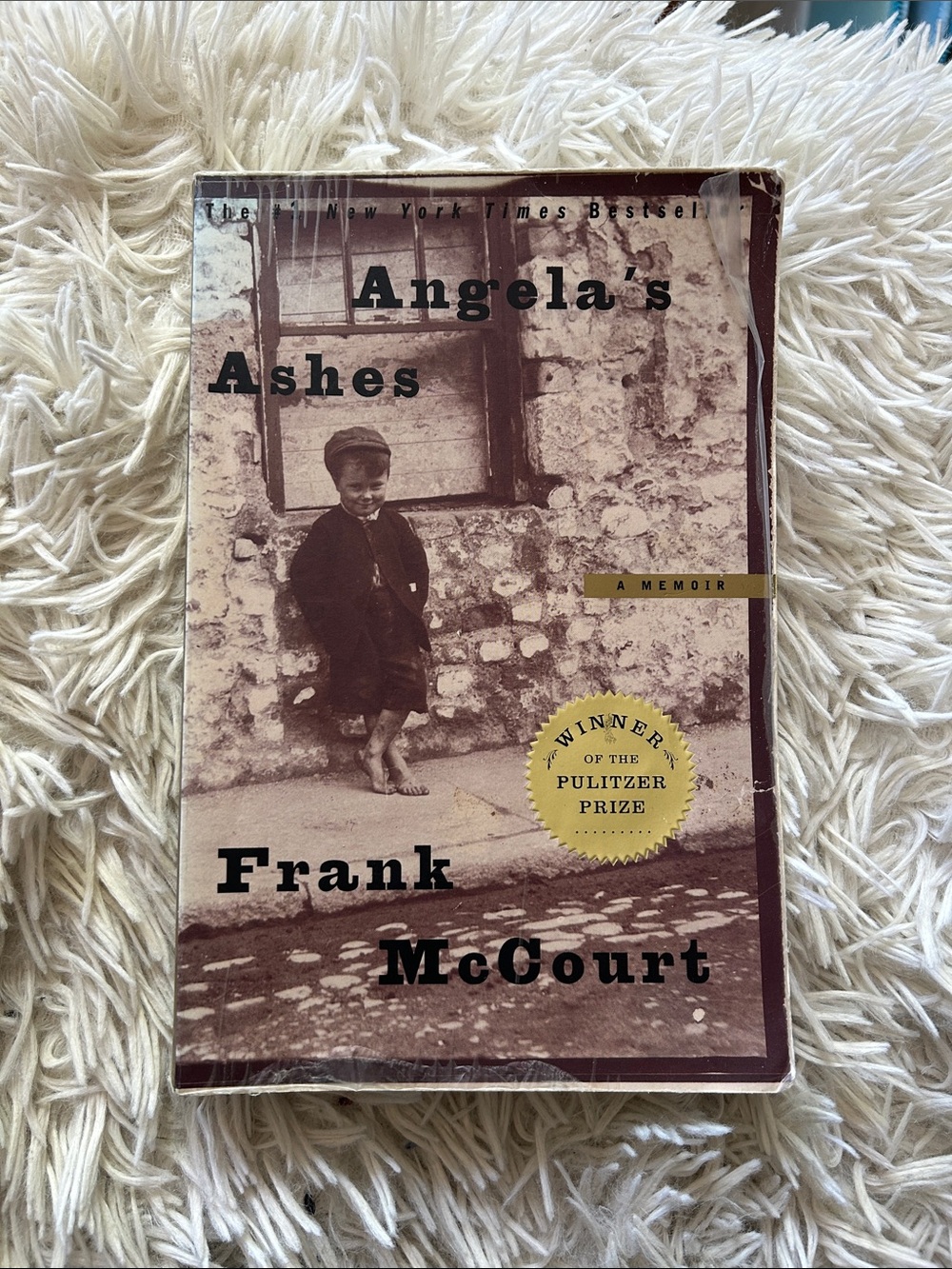 Frank McCourt "Angela's Ashes" Paperback - Brown Cover